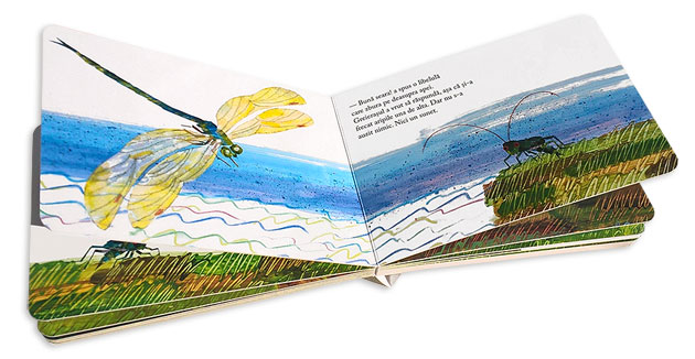 Cantecul greierasului